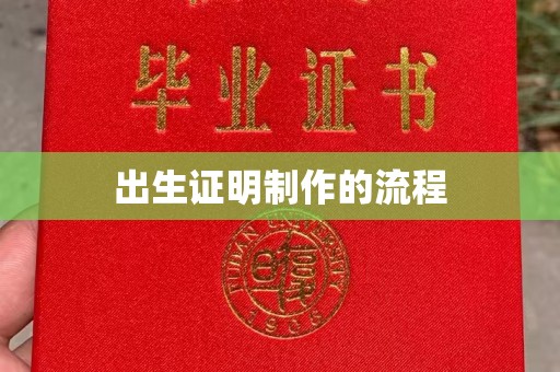 桥西出生证明制作的流程